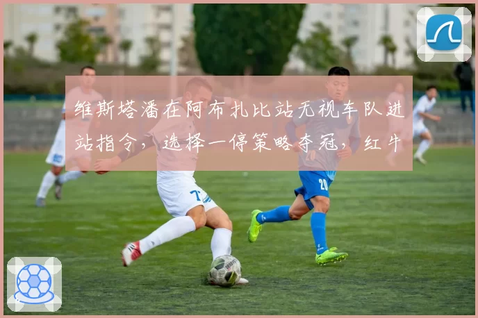 维斯塔潘在阿布扎比站无视车队进站指令，选择一停策略夺冠，红牛内部矛盾公开