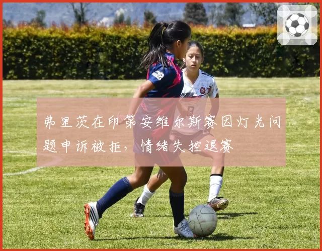 弗里茨在印第安维尔斯赛因灯光问题申诉被拒，情绪失控退赛